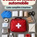 Une vue d'un kit d'urgence automobile bien organisé dans un intérieur de voiture de luxe.